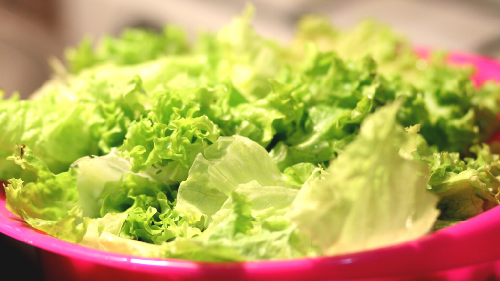 Come conservare a lungo l’insalata nel frigo: 3 passaggi fondamentali