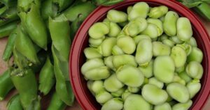 Fave: proprietà, caratteristiche e consigli per gustare questo legume